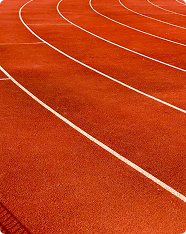 Track Setup